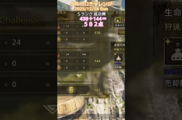タルコロチャレンジ 2025/12/14 Ｓランク 成功例 438＋144＝582点