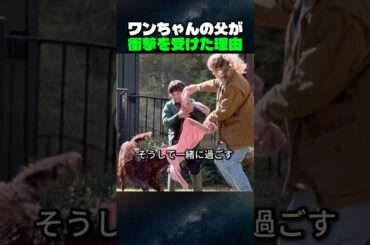 【家族愛が泣ける】仕事人間だった男が犬になって学んだ人生で一番大切なもの