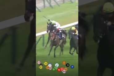 皐月賞勝ったのはミュージアムマイル　Jモレイラ　父リオンディーズ #競馬