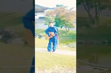 miwa/ヒカリヘ(cover)水咲キュン💘