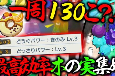 【完全解説】一周130個以上！？これ見れば全部わかるメガ次元ラッシュ木の実集め　カシブの実を添えて【レジェンズZA・ポケモン・ゆっくり実況】