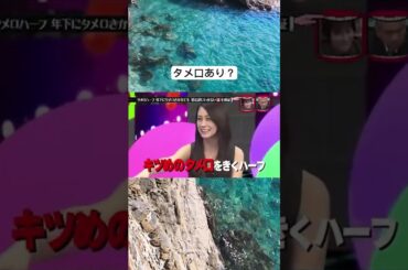 年下にタメ口きかれても 怒らない！ #水曜日のダウンタウン