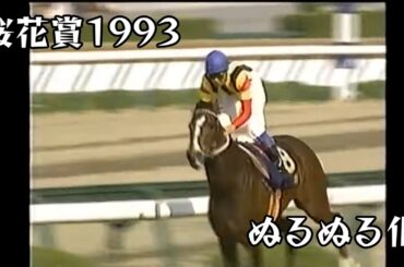 ベガ 桜花賞 1993 ぬるぬる化で見よう conv to 60fps