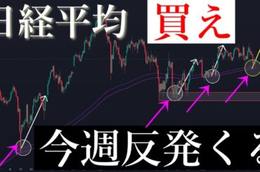 🚨「目標値56000円」爆上げの準備整う。日経平均株価/Ni225