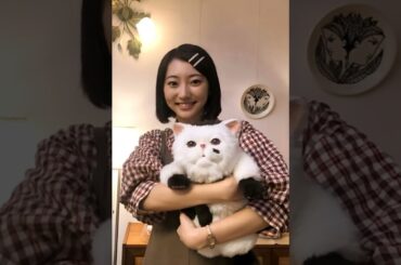 武田玲奈の歴史