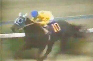 1975年皐月賞　カブラヤオー、逃げてヨレて６連勝！競り合った先行馬は故障脱落