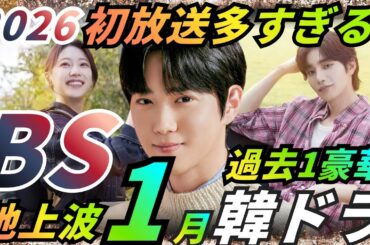 【BS韓国ドラマ】年始から話題の新作韓ドラ初放送❗️これを見れば完璧❗️12後半〜1月地上波/BS韓ドラ情報❗️