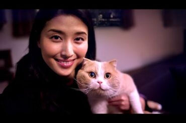 橋本マナミ : 360セキュリティ (201509)