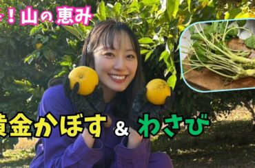 小鹿野町＆ときがわ町で山の恵み探訪！松井咲子が収穫体験で元気ハツラツ・心が清らかに！？【いまドキッ！埼玉】2025.12.13放送