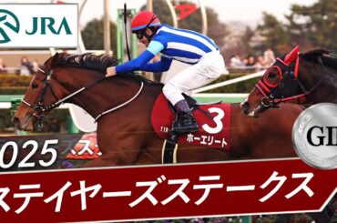2025年 ステイヤーズステークス（GⅡ） | ホーエリート | JRA公式