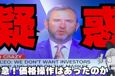 【リップルCEOが疑惑にアンサー】XRP価格操作はあったのか？