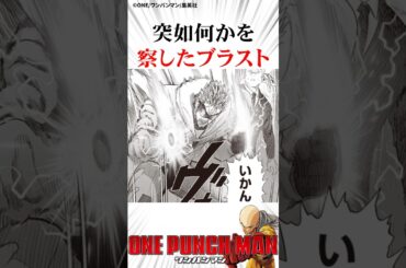 1人だけレベルが違うサイタマ #ワンパンマン #onepanchman