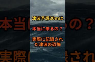 津波予想30mは本当に来るのか？実際に記録された津波の恐怖 #shorts #津波 #防災