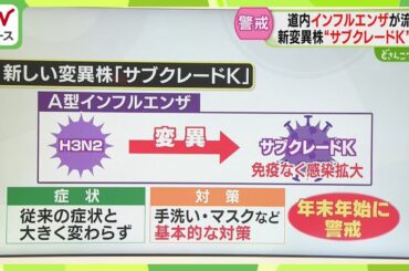【解説】免疫なく感染拡大か　変異株「サブクレードＫ」　手洗い・マスクで対策　インフルエンザ流行
