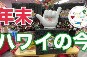 ハワイの今【悪天候つづき？】でも安心のどこでもプライベートツアー