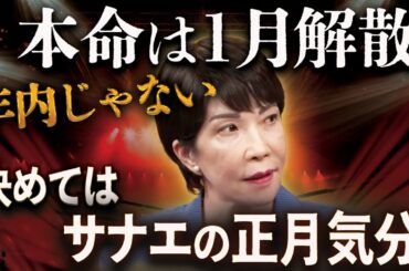 年内じゃない…本命はもともと１月解散だった🧠国民＆公明の補正賛成で政局安定、決め手はサナエの正月気分⁉️