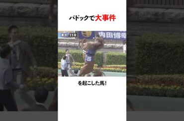 競馬のパドックにて大事件を起こした馬たち