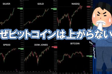 【仮想通貨 ビットコイン】最高値だらけの世界でBTCだけ不機嫌です「操作に見える下げ」と年末〜年明けの重要ポイント（朝活配信2056日目 毎日相場をチェックするだけで勝率アップ）