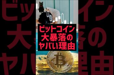 ビットコイン､大暴落のヤバい理由