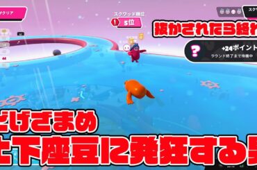 土下座豆に発狂する男【フォールガイズ/Fall Guys】