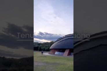 イタリアのワイナリー見学ツアー #shorts #sasago #ワイン