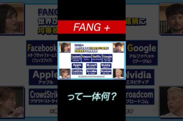 FANG +って何？ #田村亮 #鈴木奈々 #新NISA