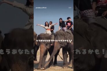 タイ🇹🇭象お世話体験ツアー