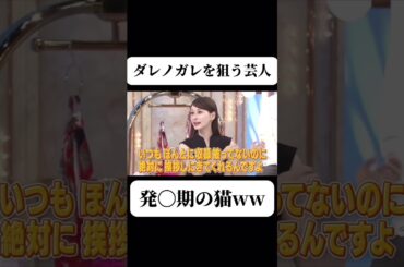 ダレノガレ明美を狙う芸人 #お笑い #モデル #カップル