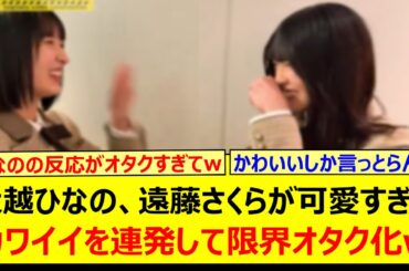 大越ひなの、遠藤さくらが可愛すぎてカワイイを連発して限界オタク化するwww【乃木坂46・乃木坂配信中・乃木坂工事中】