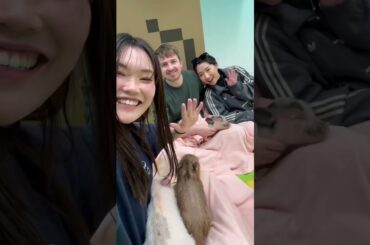 ツアーガイドの1日🇬🇧×日本　#ツアーガイド #インバウンド #外国人観光客 #渋谷