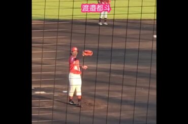 20250426　森七菜ﾌｧﾝ！#渡邉都斗　#投球練習　#shorts　高知ﾌｧｲﾃｨﾝｸﾞﾄﾞｯｸﾞｽ@日本ﾄｰﾀｰ野球場［四国ｱｲﾗﾝﾄﾞﾘｰｸﾞplus］高知球場