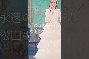 永遠のアイドル　　　　松田聖子