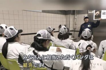 【悲報】白浜町、パンダが消えて気が狂い飼育員に笹の葉を食べさせてしまうwwwwwwww