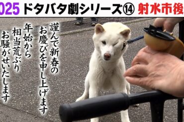 2025狂犬病予防注射会場のドタバタ劇⑭ 射水市後編