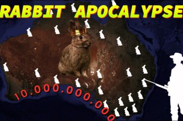 When Australia Went to War With Billions of Rabbits