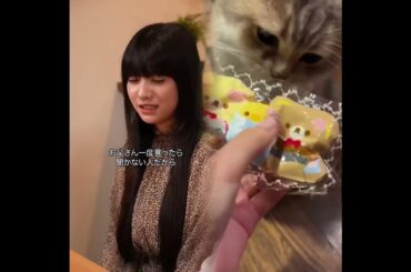 結婚発表を早急に諦める #今日の絶望的な状況 #短編コメディ