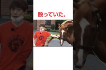オルフェーヴルの面白い雑学#競馬