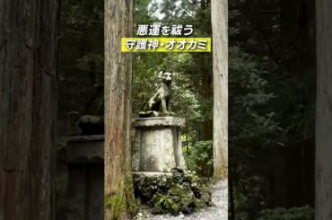 三峯神社で関東最強パワースポット体験！ #バスツアー #三峯神社  #shorts