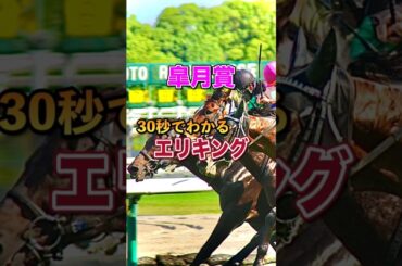 【皐月賞2025】30秒でわかるエリキング