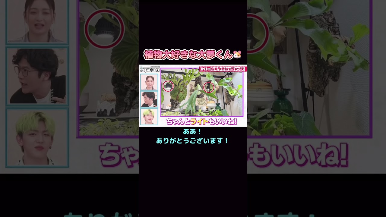 【INI】運命的な出会いをした大夢くん🐹