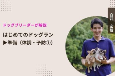 はじめてのドッグラン▶準備（体調・予防編①）🐾 #チワワ #フレンチブルドッグ #チワワブリーダー #岡山ブリーダー #子犬のいる生活 #岡山県 #フレンチブルドッグブリーダー  #犬のいる暮らし