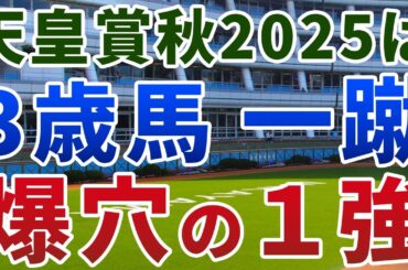 天皇賞秋2025【絶対軸1頭】公開！メイショウタバルのペースを徹底検証！３歳勢をまとめて負かす大穴の１強は？