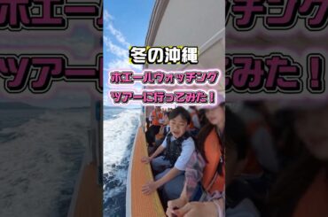 冬の沖縄でホエールウォッチングのツアーに参加してきました🐋生でみるクジラは本当に圧巻だった！！