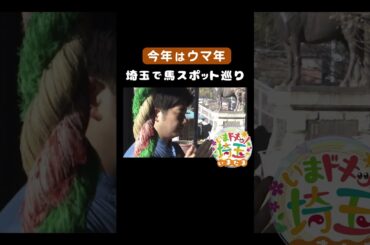 #新年#午年#うま#馬#UMA#馬頭観音#絵馬#東松山市#ダーラナホース#西川材#飯能市#ときがわホースケアガーデン#養老牧場#引退馬#松井咲子#小堺翔太#才木玲佳#いまたま#埼玉県#shorts