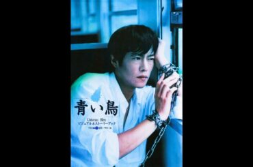 Blue Bird（青い鳥 / Aoi Tori）｜1997年 TBS ドラマ