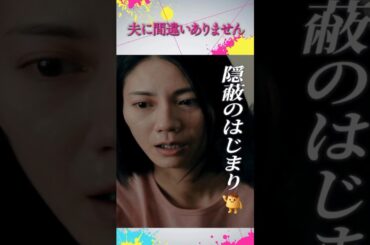 【夫に間違いありません】松下奈緒＆桜井ユキの過去CMが懐かしい！第1話から急展開すぎ…【ドラマ考察】