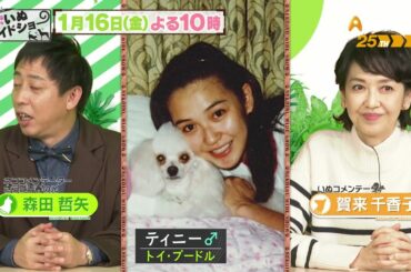 ゲスト：賀来千香子【ネコいぬワイドショー】