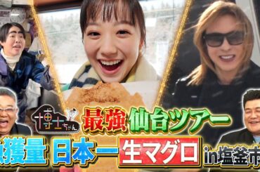 サンドウィッチマンが愛菜ちゃんと仙台へ里帰り! イモトアヤコと塩釜市場で生マグロを堪能!｜#サンドウィッチマン＆芦田愛菜の博士ちゃん #TVer で最新話配信中！