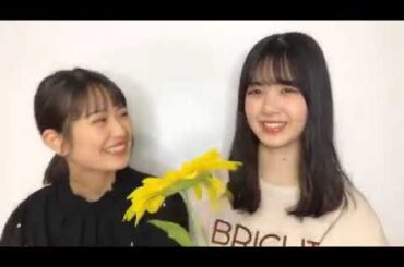 327筒井あやめ 清宮レイ のぎおび 乃木坂46 筒井あやめ 清宮レイ 4期生 2019 11 28Thu