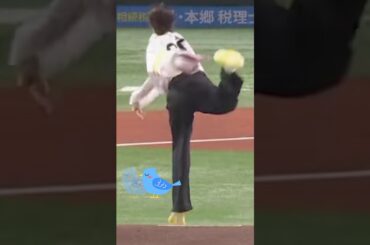 上戸彩ちゃんの始球式#ピタ止めチャレンジ #ビタ止め
